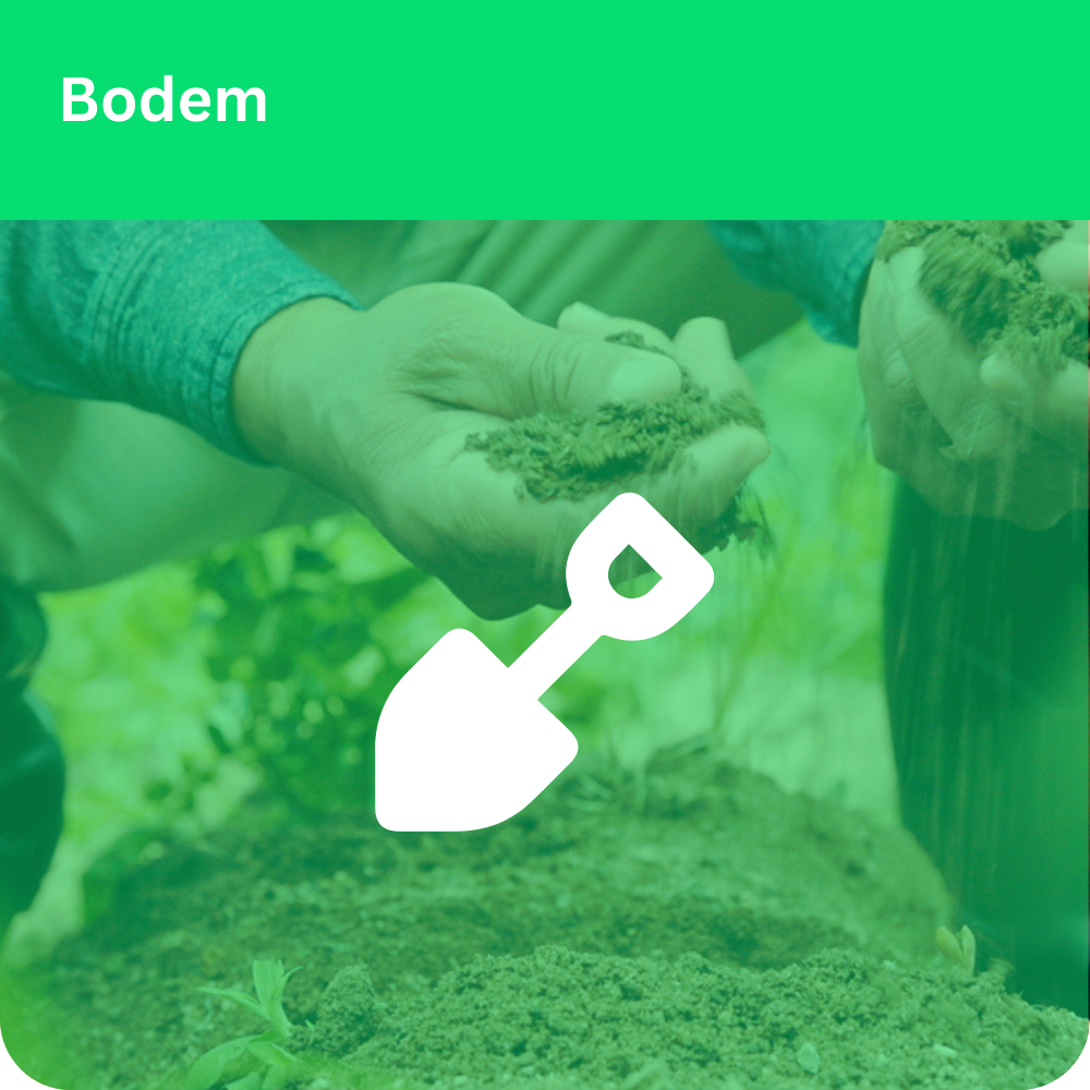 Bodem